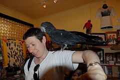 0736 Birdworld Kuranda